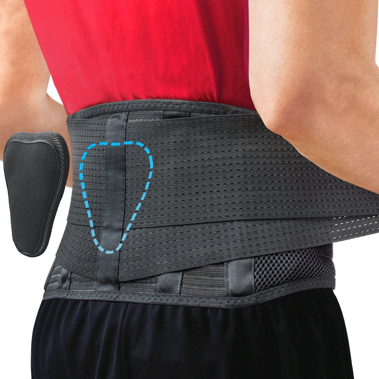 Back Support Belts