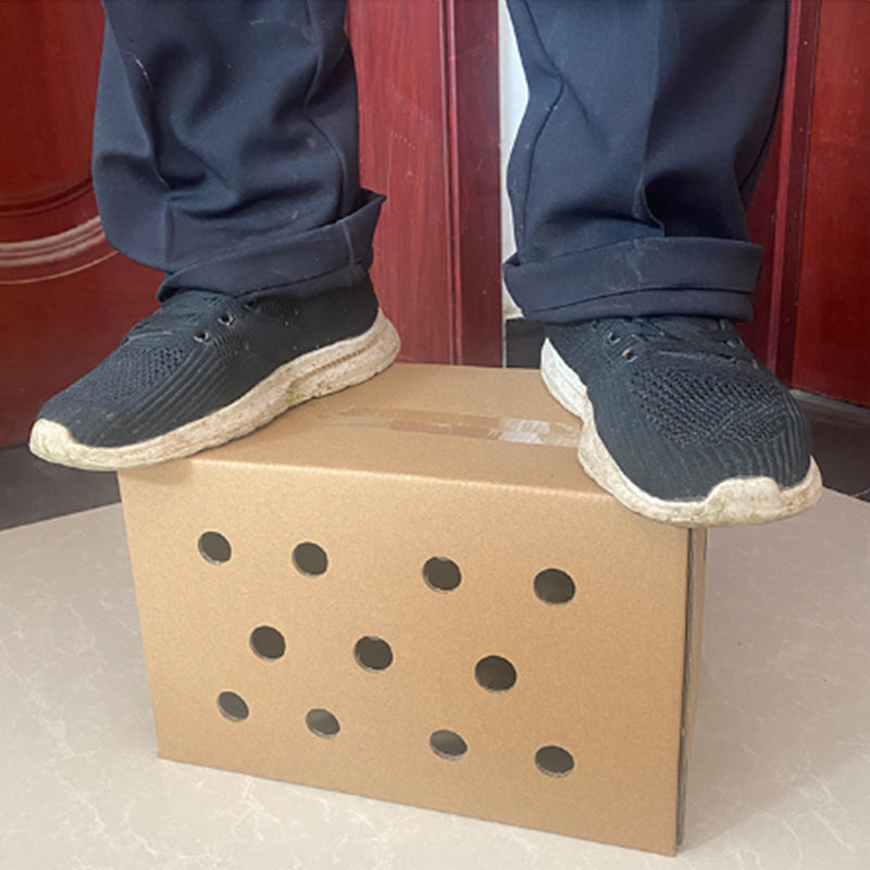 Disposable Paper Pet Carrier 3 Sizes 10PCS