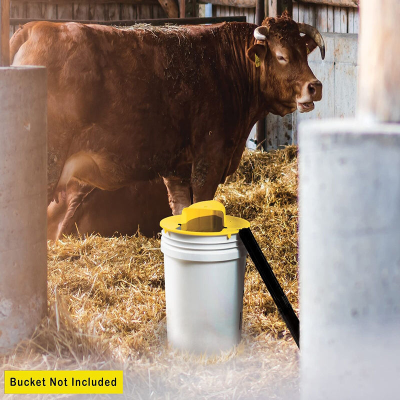 Flip N Slide Bucket Lid Mouse Rat Trap With Ladder Mousetrap Catcher