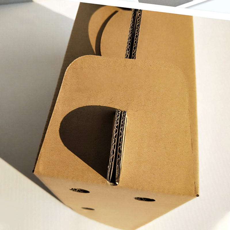 Disposable Paper Pet Carrier 3 Sizes 10PCS