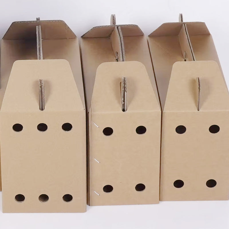 Disposable Paper Pet Carrier 3 Sizes 10PCS