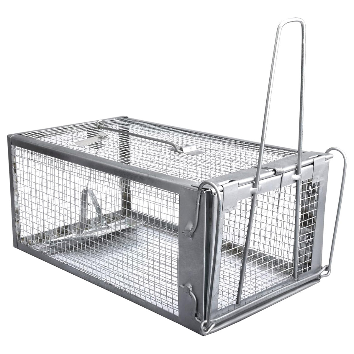Humane Rat Trap Cage Live Animal Catch Box Stainless Steel