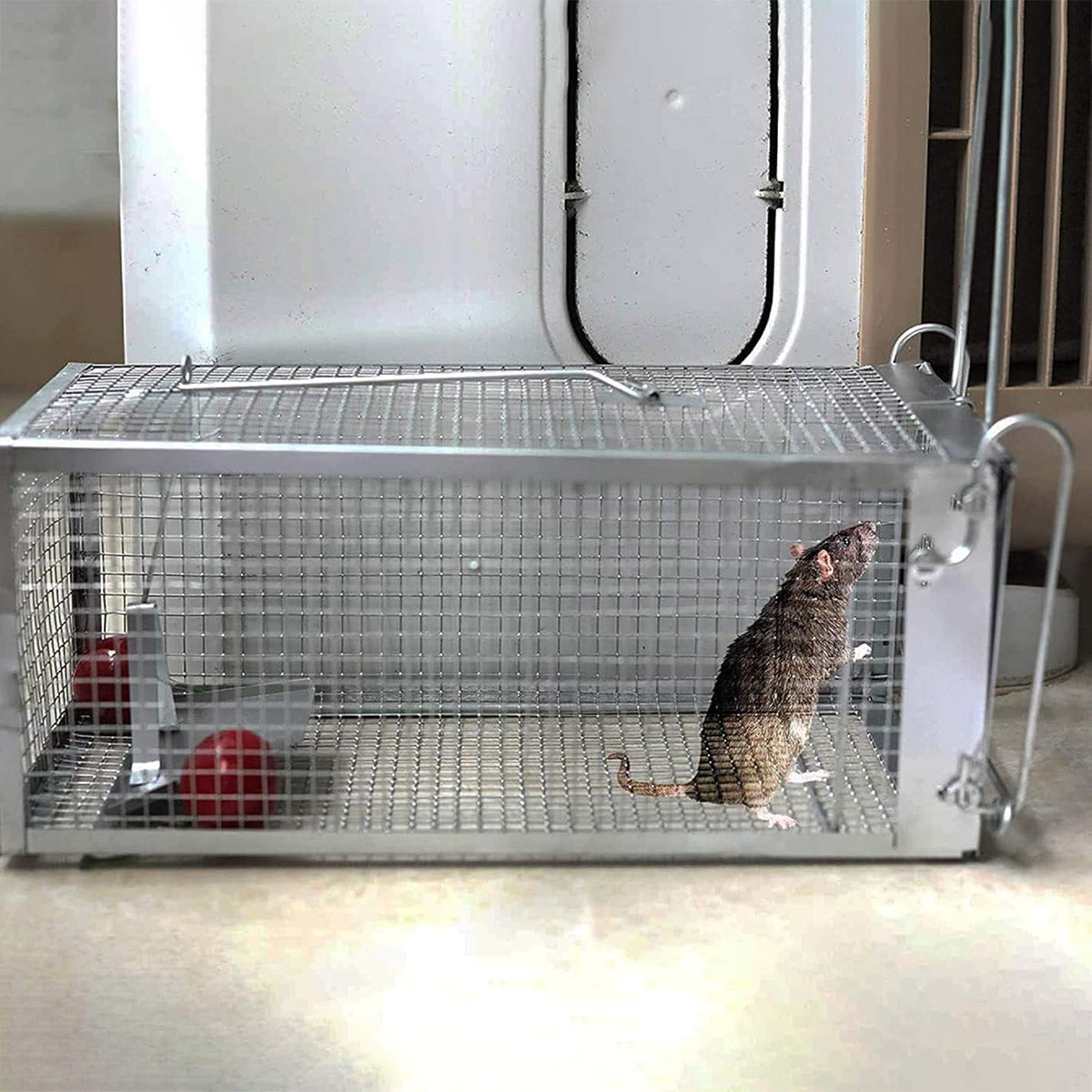 Humane Rat Trap Cage Live Animal Catch Box Stainless Steel