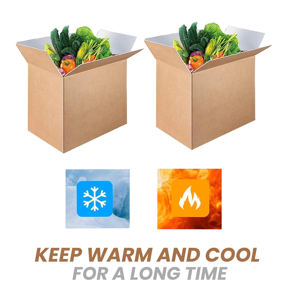 Insulated Carton Cold Chain Packaging Box for Perishable Storage