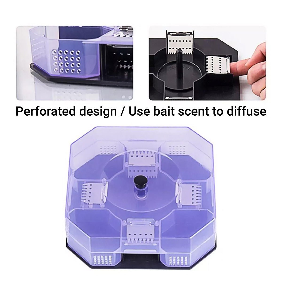 Cockroach Lizard Insect Reusable Non Poison Large Killer Trap Box