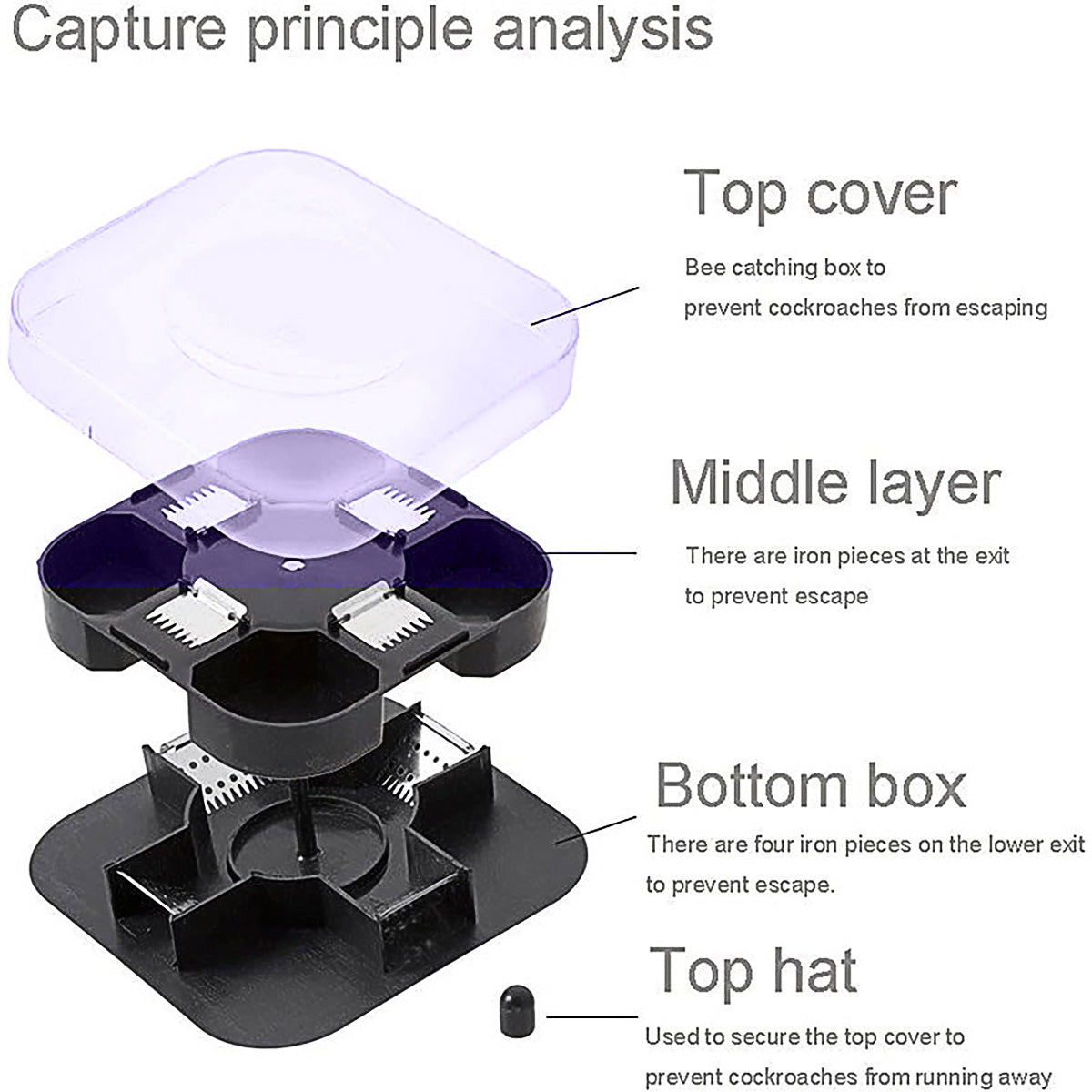 Cockroach Lizard Insect Reusable Non Poison Large Killer Trap Box