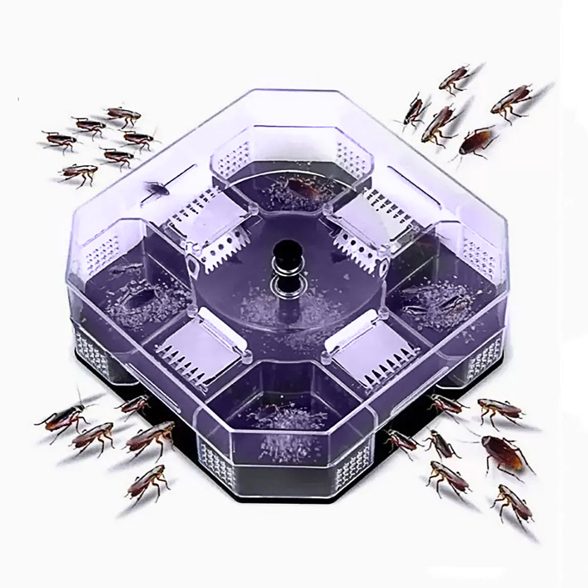 Cockroach Lizard Insect Reusable Non Poison Large Killer Trap Box