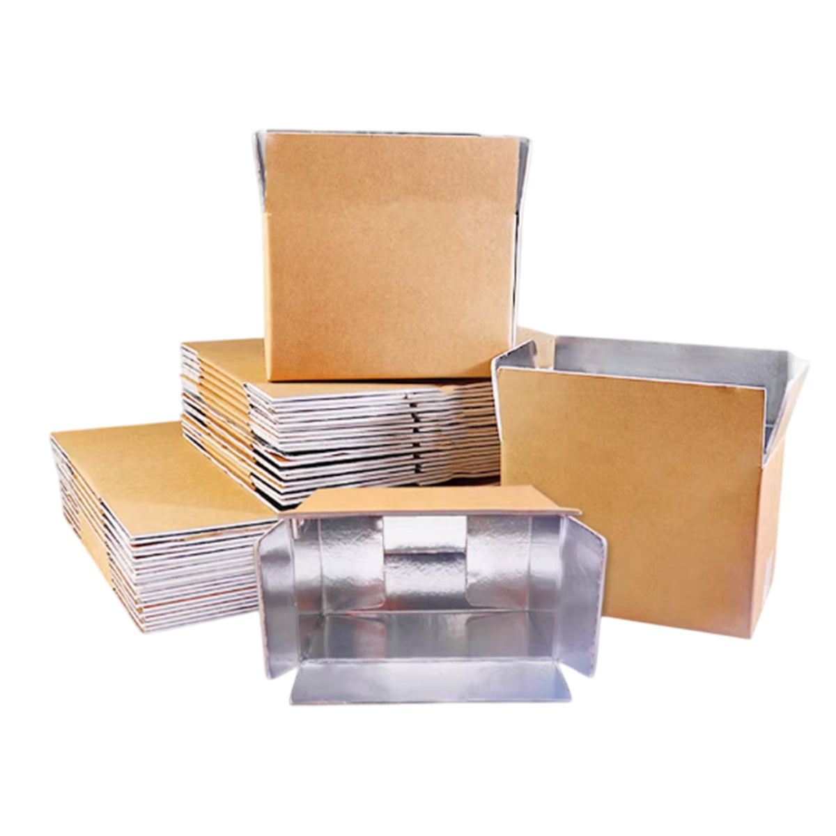 Insulated Carton Cold Chain Packaging Box for Perishable Storage