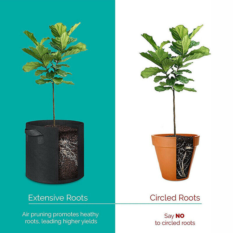 10pcs Fabric Plant Grow Pots Breathable Planter Bags 2-20 Gallon