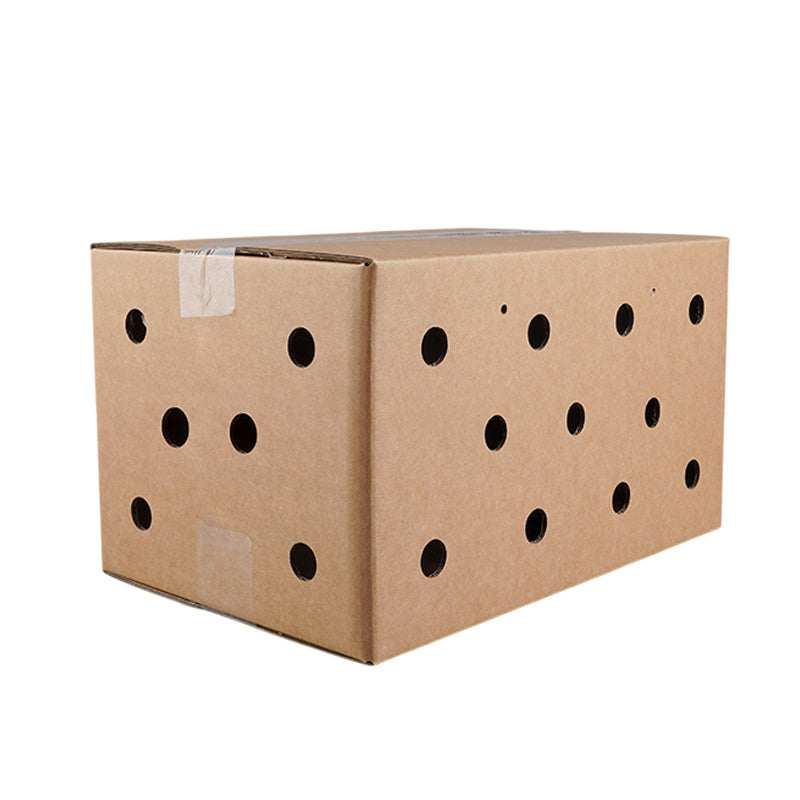 Disposable Paper Pet Carrier 3 Sizes 10PCS