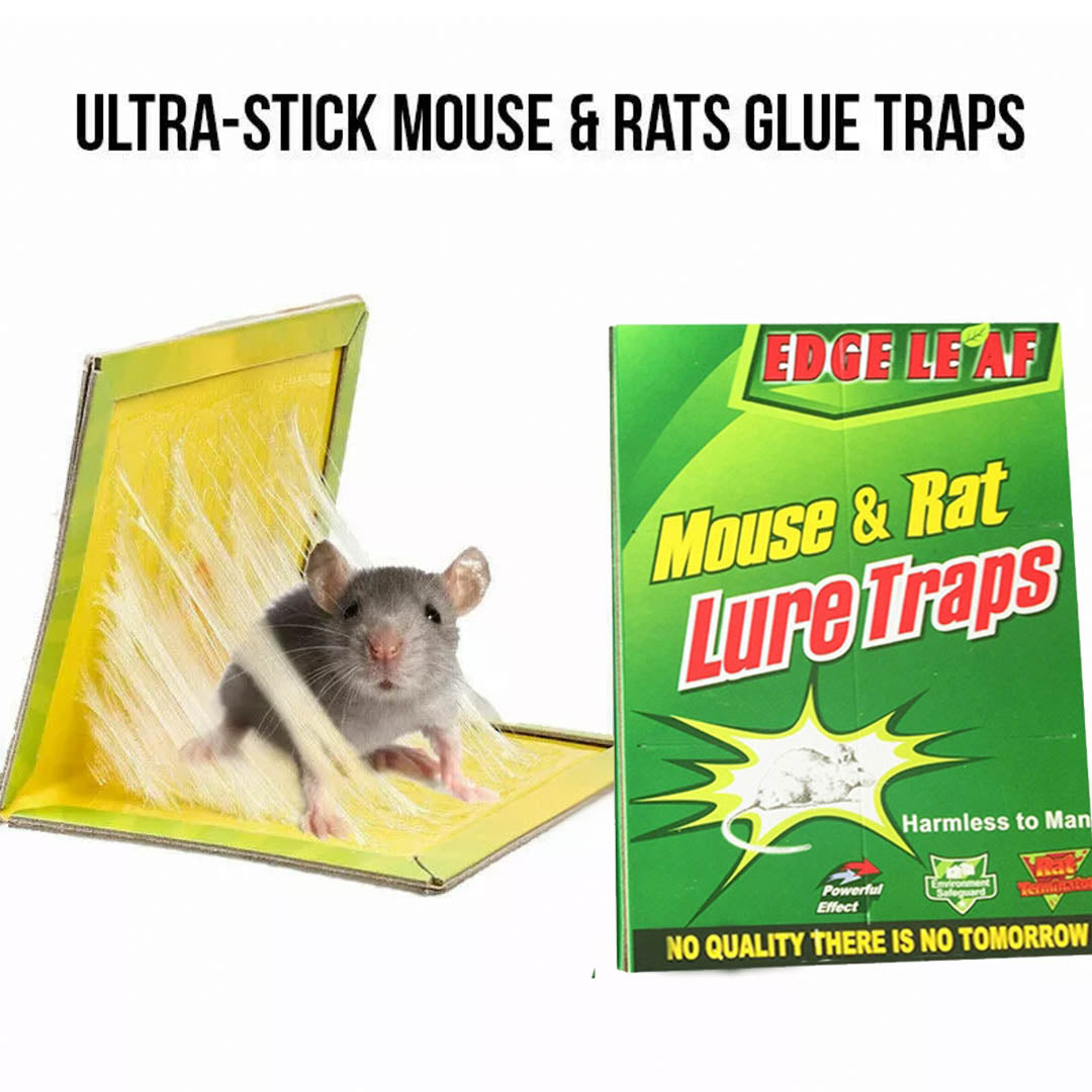 Mouse Glue Trap Board Rat Mice Catcher Pad Odorless Sticky Non-Toxic