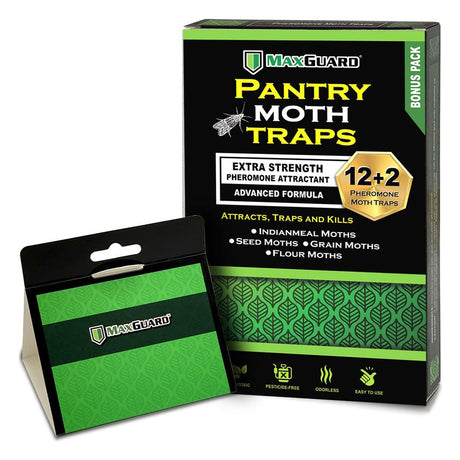 Glue Traps