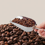 4 Sizes Aluminum Alloy Ice, Flour Rice Scoops Multipurpose