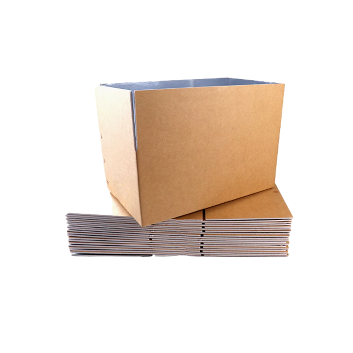 Insulated Carton Cold Chain Packaging Box for Perishable Storage