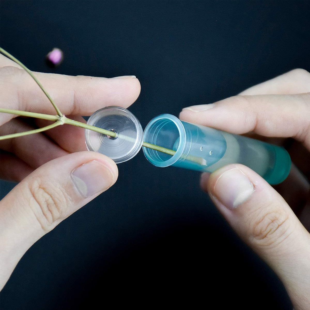 100/200PCS Flower Fresh Keeping Tubes Floral Bouquet Water Supply