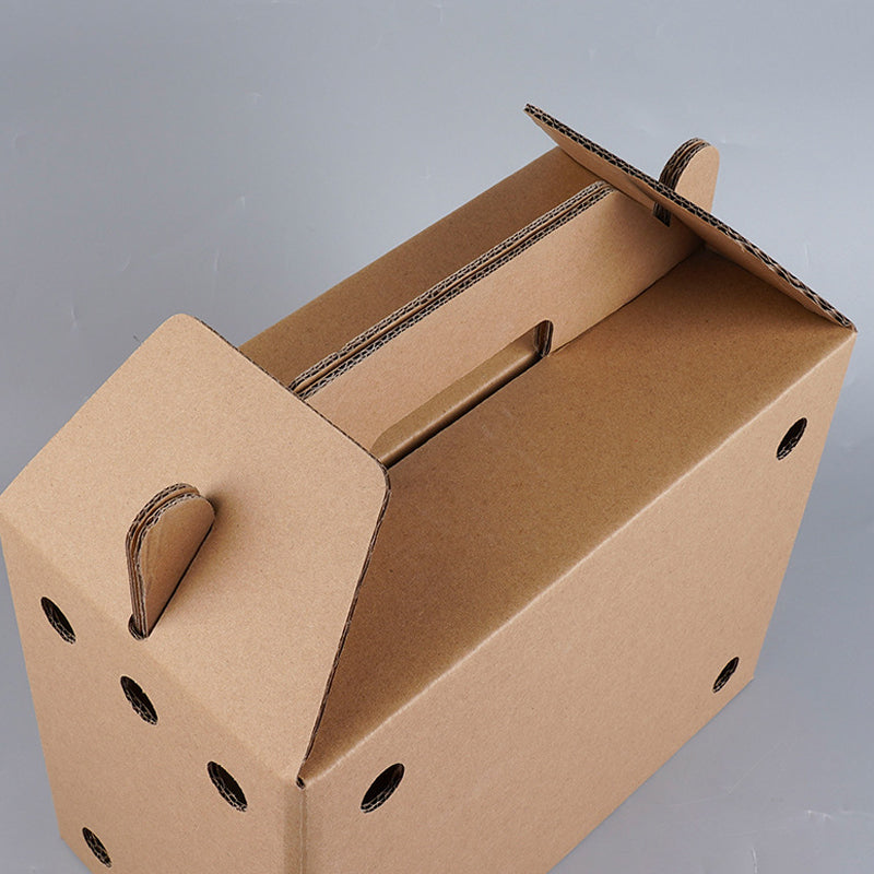 Disposable Paper Pet Carrier 3 Sizes 10PCS