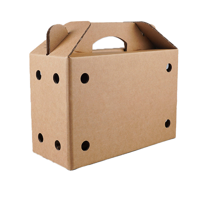Disposable Paper Pet Carrier 3 Sizes 10PCS
