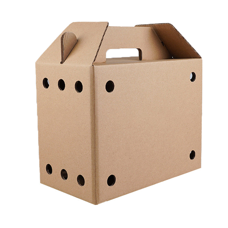 Disposable Paper Pet Carrier 3 Sizes 10PCS