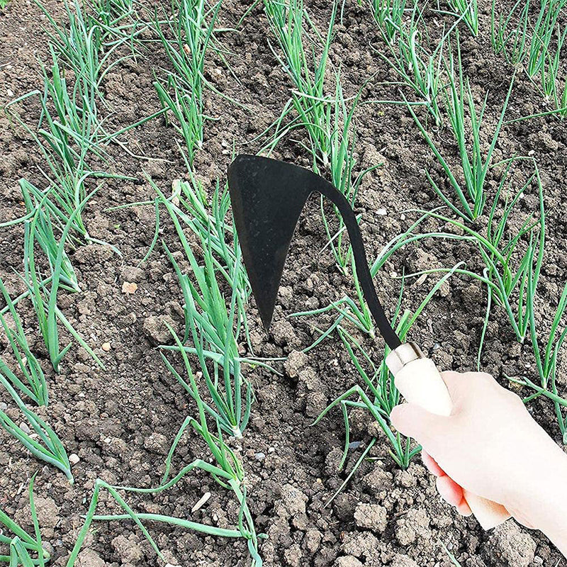 Homi Korean Traditional Plow Hoe Hand Tool for Gardening