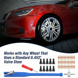 43PCS Car Tyre Valve Tool Kit Stem Puller Valve Core Remover Set