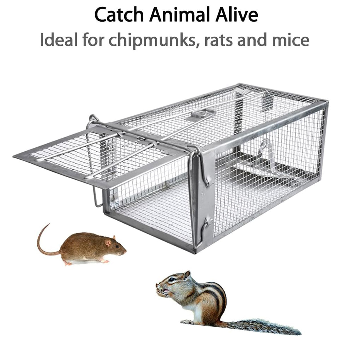 Humane Rat Trap Cage Live Animal Catch Box Stainless Steel