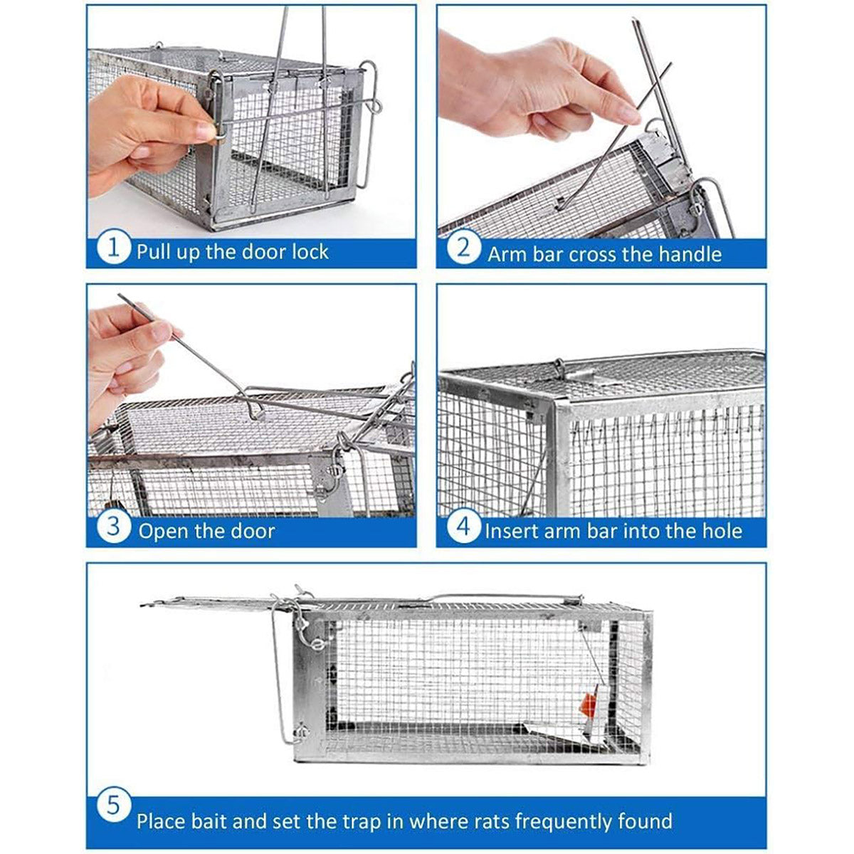 Humane Rat Trap Cage Live Animal Catch Box Stainless Steel
