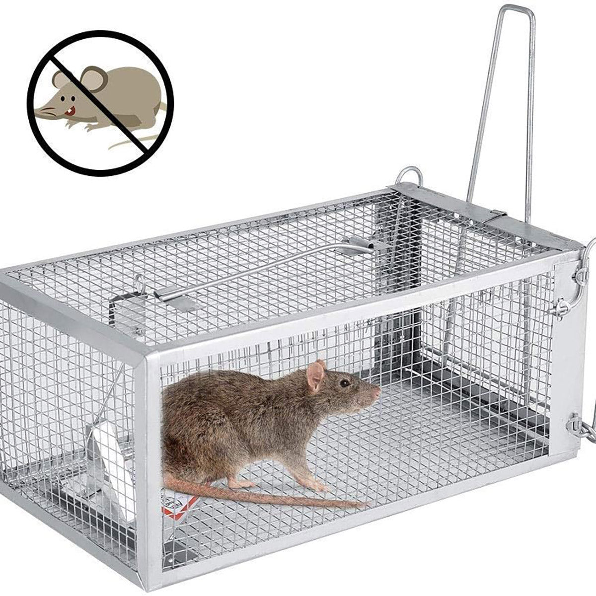 Humane Rat Trap Cage Live Animal Catch Box Stainless Steel
