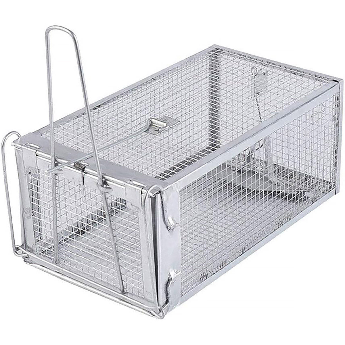 Humane Rat Trap Cage Live Animal Catch Box Stainless Steel