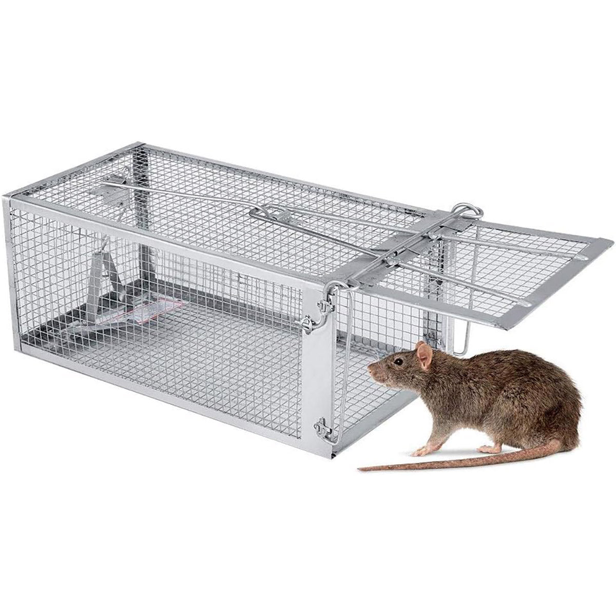 Humane Rat Trap Cage Live Animal Catch Box Stainless Steel