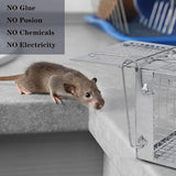 Humane Rat Trap Cage Live Animal Catch Box Stainless Steel