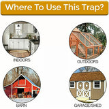 Flip N Slide Bucket Lid Mouse Rat Trap With Ladder Mousetrap Catcher