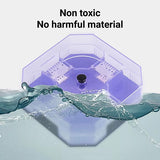 Cockroach Lizard Insect Reusable Non Poison Large Killer Trap Box