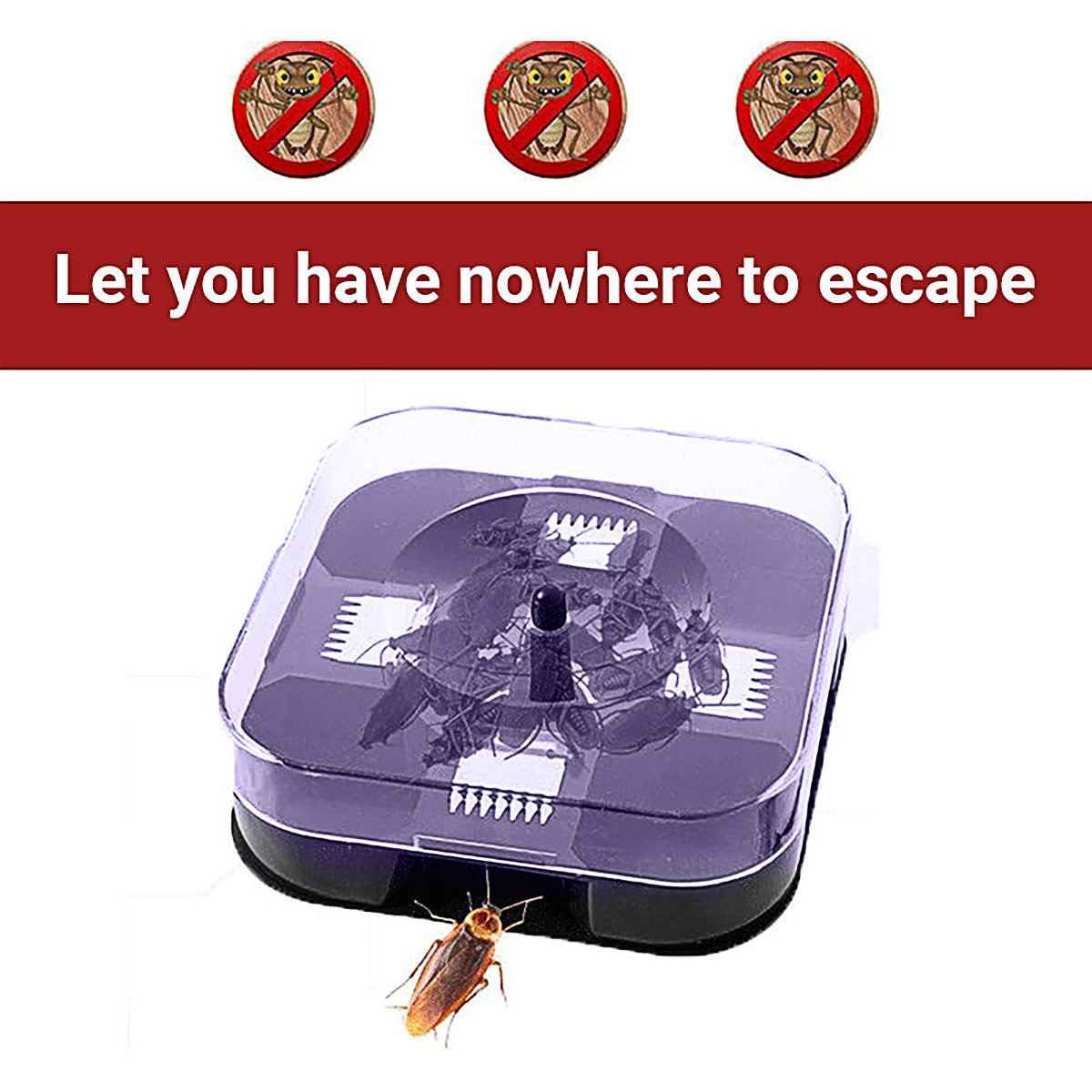 Cockroach Lizard Insect Reusable Non Poison Large Killer Trap Box