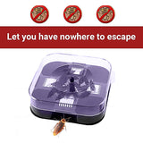 Cockroach Lizard Insect Reusable Non Poison Large Killer Trap Box