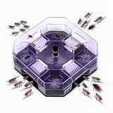 Cockroach Lizard Insect Reusable Non Poison Large Killer Trap Box