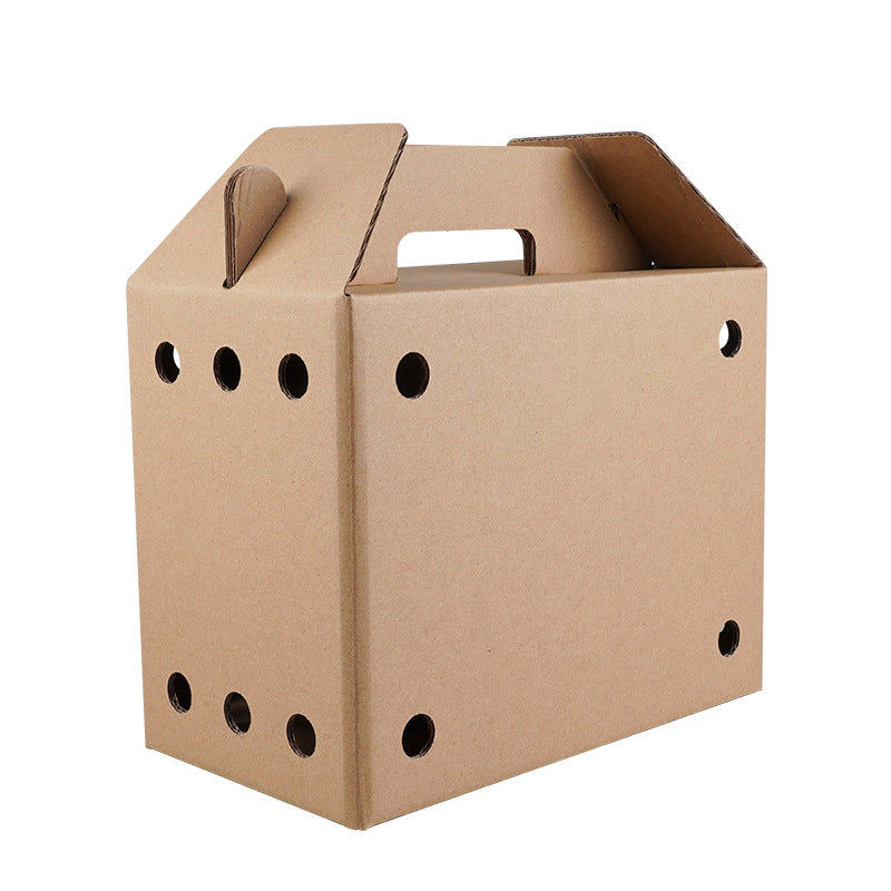 Disposable Paper Pet Carrier 3 Sizes 10PCS