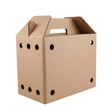 Disposable Paper Pet Carrier 3 Sizes 10PCS