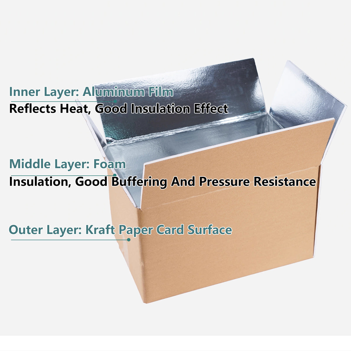 Insulated Carton Cold Chain Packaging Box for Perishable Storage