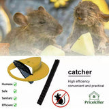 Flip N Slide Bucket Lid Mouse Rat Trap With Ladder Mousetrap Catcher