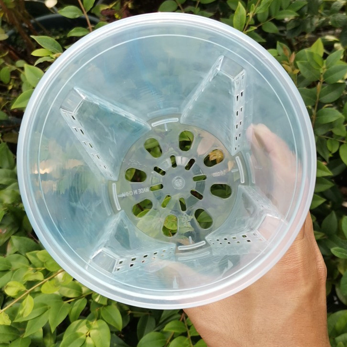 10x Clear Plastic Orchid Pots with Holes for Phalaenopsis