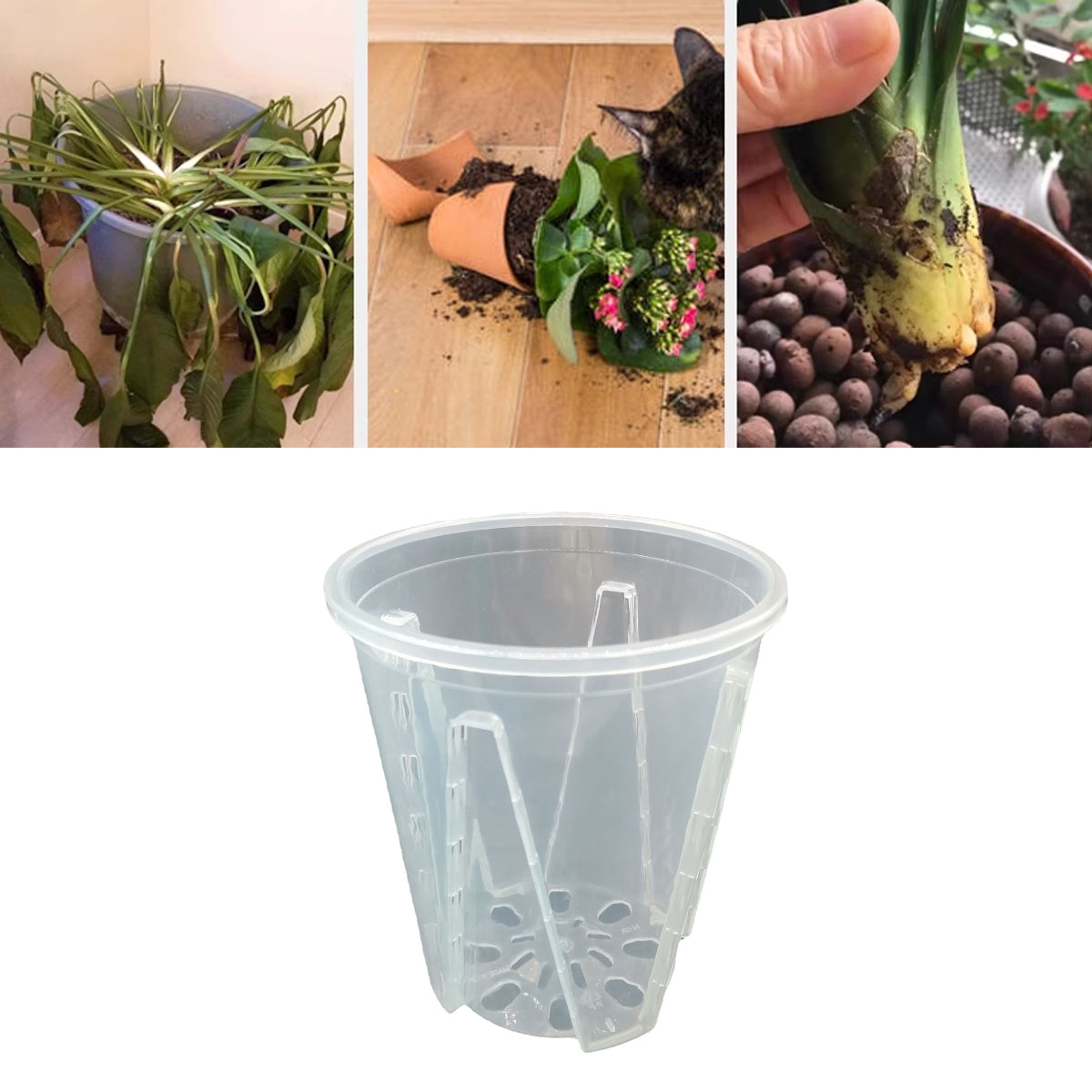 10x Clear Plastic Orchid Pots with Holes for Phalaenopsis