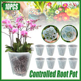 10x Clear Plastic Orchid Pots with Holes for Phalaenopsis