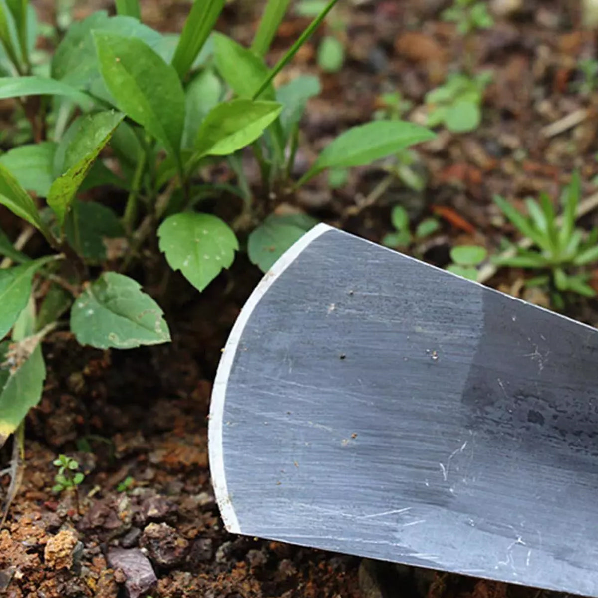 10PCS Gardening Tool Set Shovel Spade Planter Seedling Lifter