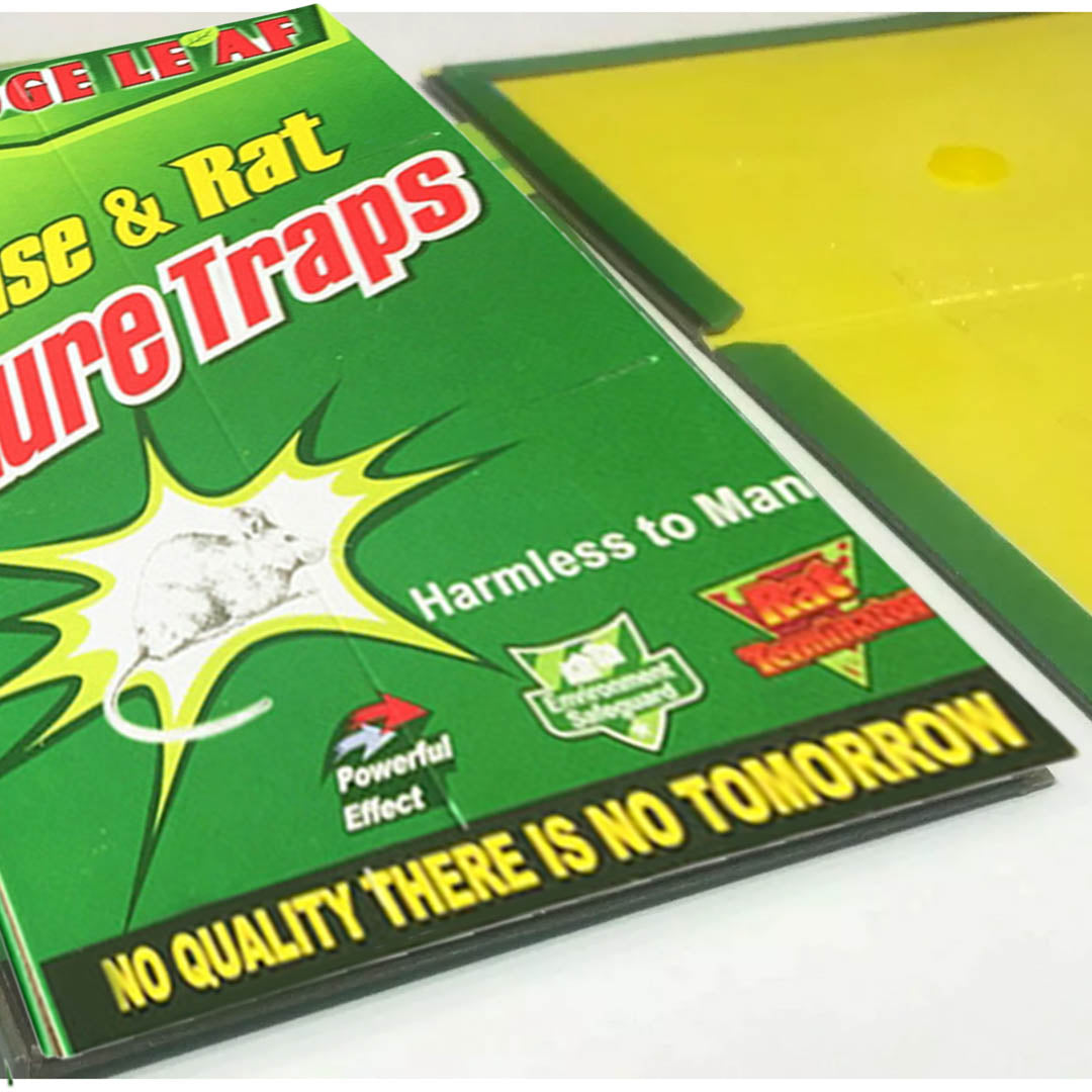 Mouse Glue Trap Board Rat Mice Catcher Pad Odorless Sticky Non-Toxic